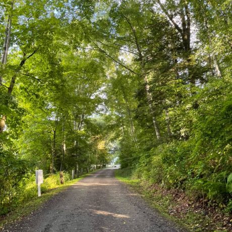 campground road